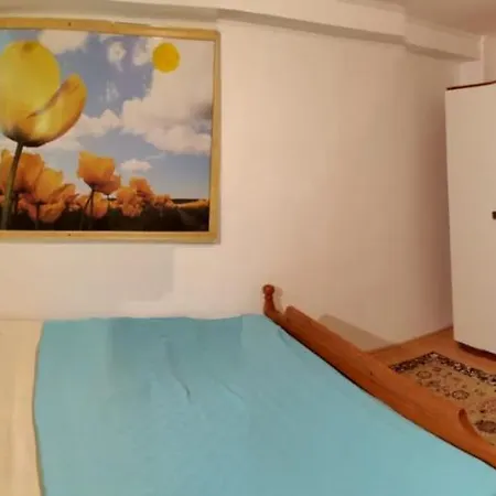 La Bicu Guest house